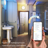 Настенно-потолочный светильник SmartHome 2060112