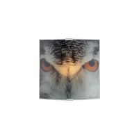 Настенный светильник Owl 105242