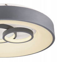 Потолочный светильник Mavy 48416-50R