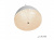 Подвесной светильник Flake WLD8885-5Y WH